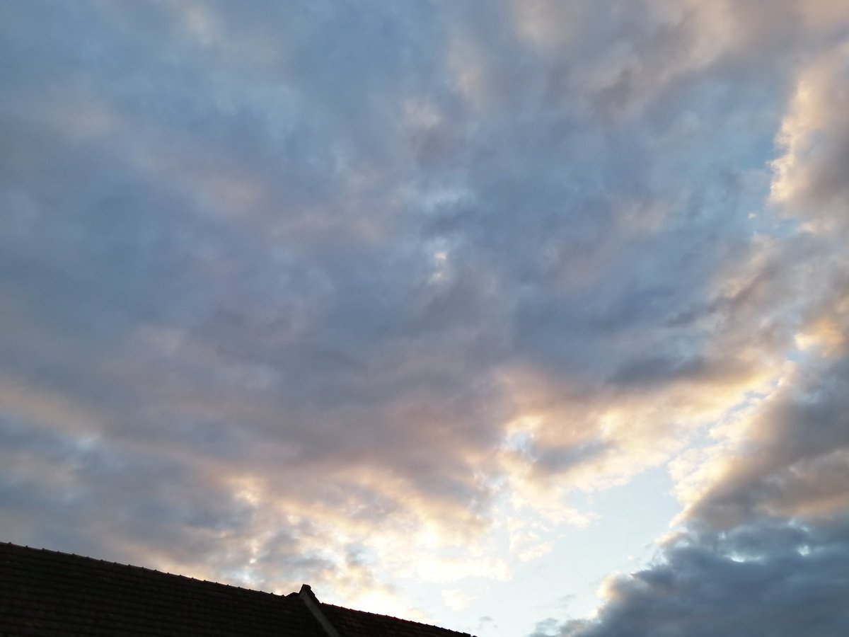 else_lasker's tweet photo. Einmal sagte er zu mir:
"Ich muss früh sterben."
Da weinten wir beide
wie nach einem Begräbnis.
Seitdem lagen seine Hände
oft in den meinen.
Immer hab ich sie gestreichelt,
bis sie die Waffe ergriffen. https://t.co/Dms91BNtw4