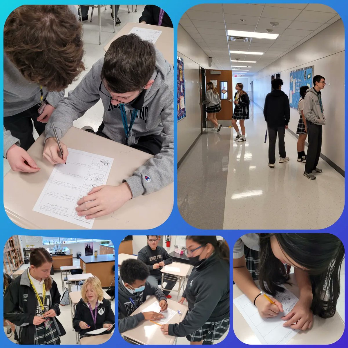 BLHSGerman tweet media