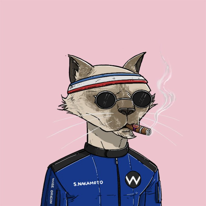 skelly_mode's tweet photo. Happy to host this #NFTGiveaway for my friends at @WiseCatsNFT 
 
Winner gets a Wise Cats NFT! Announced in 24 hours

- follow @WiseCatsNFT &amp; @0xskellymode 
- Like , RT &amp; Tag your Wise friends
- turn notifications on for their mint update 

#WISEup #stayWISE https://t.co/VwpiWo117l