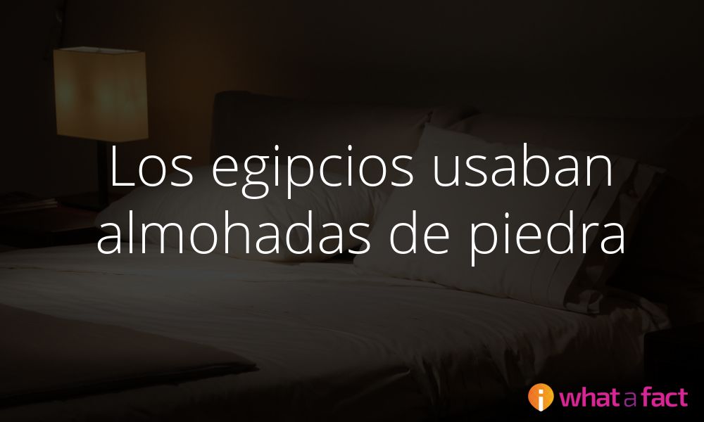 ¿Qué te parece? Los egipcios usaban almohadas de piedra
whatafact.com/es/f/egipcios-…