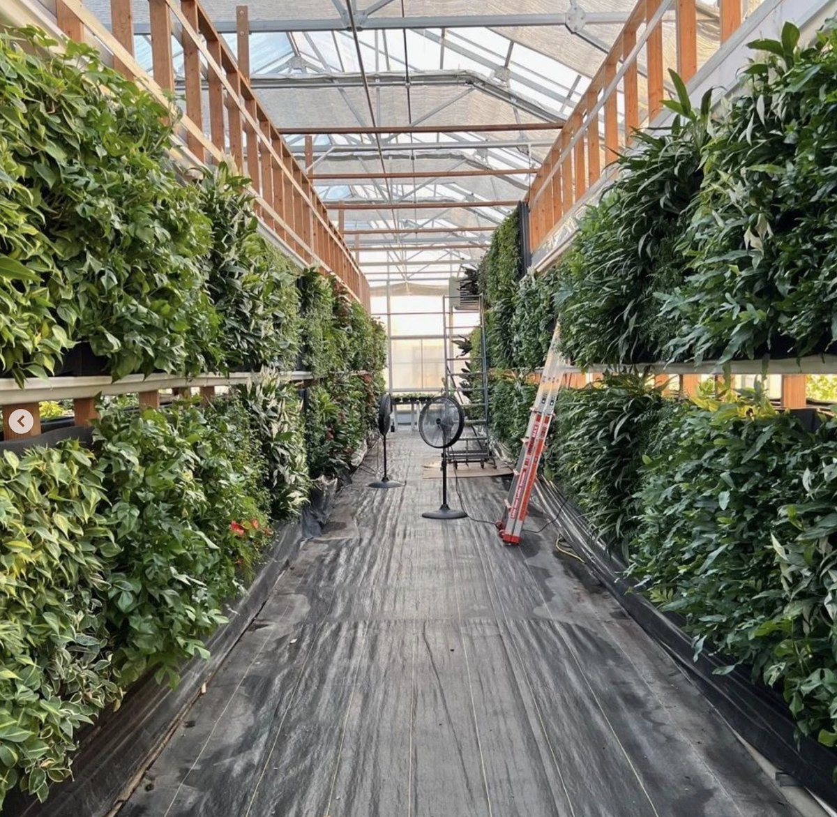 Installation is underway on the new living green wall on the @DrexelUniv campus! When finished, this living wall will be one of the largest in the country. Photo credit: Drexel Interior Programs #gogreen #stayplanted #livingwalls #plants @biophilicdesign #drexel