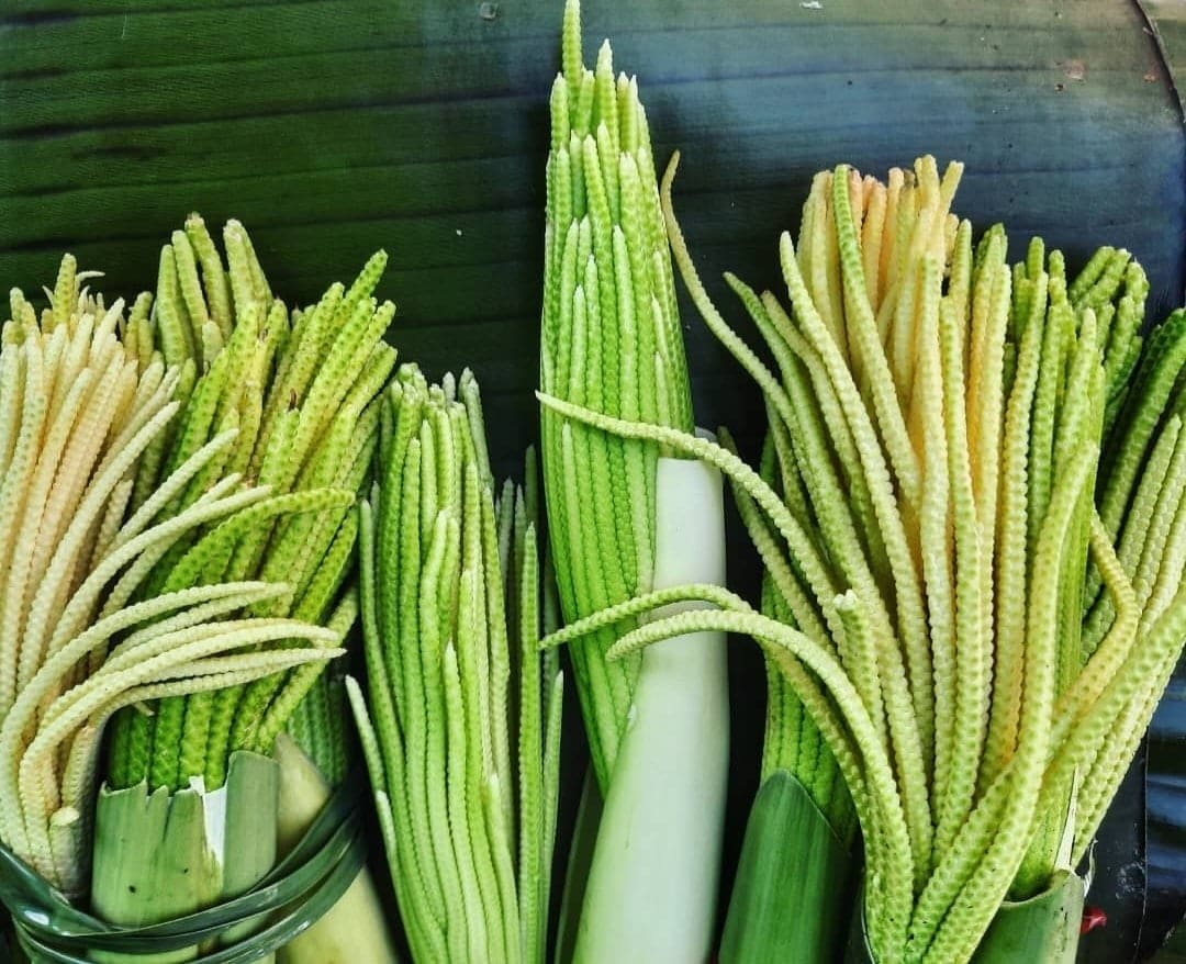 NuestroDiario's tweet photo. Solo de verlas se nos antojaron. 😋 ¿Cómo las cocinas? 👩‍🍳👨‍🍳

Buen provecho. 

📷: @guate_kikepinto #antojitos #pacayas #envueltos #tradiciones #cuaresma #antojitochapín https://t.co/npsS0Mpb13