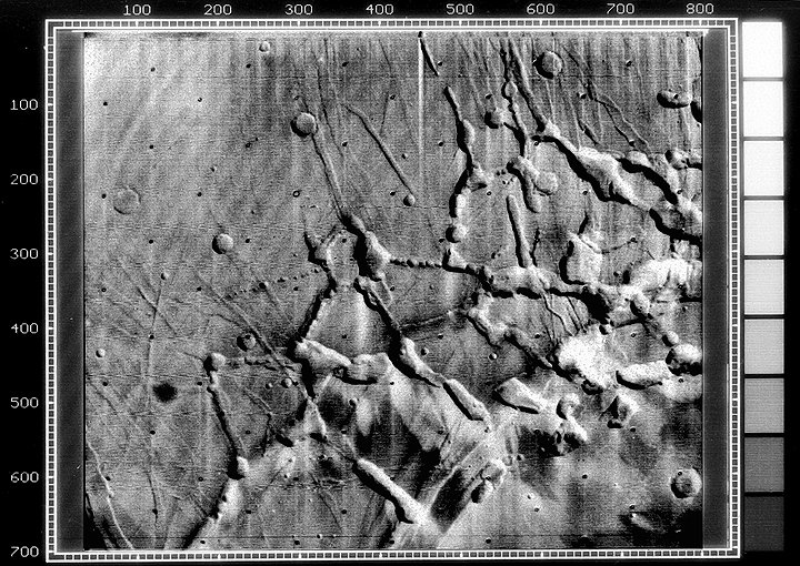 NASA Mars tweet media
