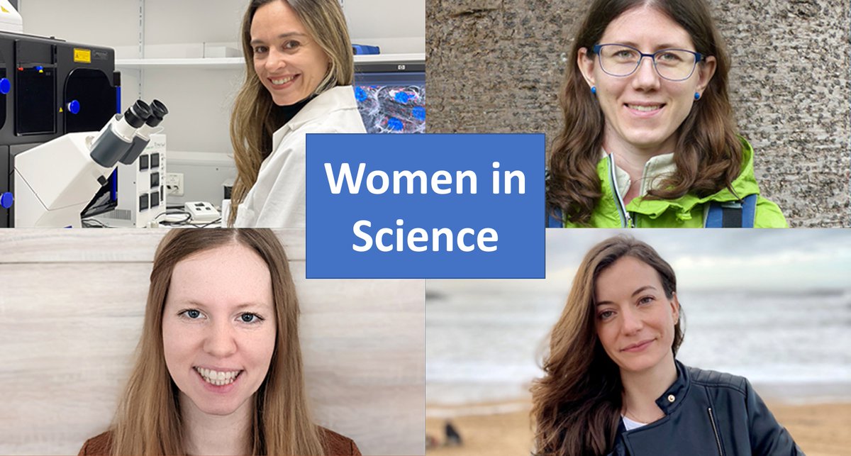 UNIVIE_LMC tweet media