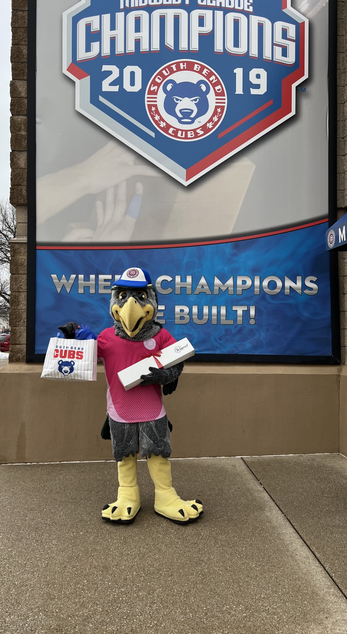 South Bend Cubs Mascot Swoop During Editorial Stock Photo - Stock Image