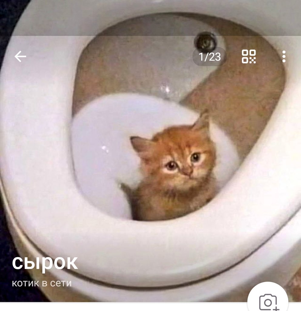 faerrx's tweet photo. вы не лучшие подруги если у вас не было таких парных аватарок в телеге https://t.co/mAYTeMDHDM