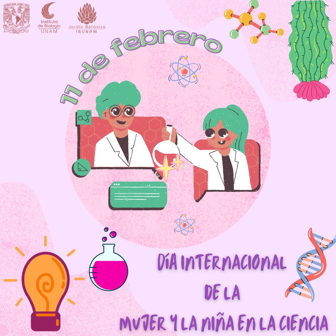 JBUNAM's tweet photo. @La_Rodadora @PapagayoTabasco @MuseoMIDE @UniversumMuseo #HablandoDeMuseos Nos da mucho gusto decirles que el 50% del personal académico de este jardín botánico lo conforman mujeres que, desde niñas se apasionaron por la ciencia y su sueño se cumplió. #DiaInternacionalDeLaMujerYLaNiñaEnLaCiencia https://t.co/b5Z6WGTLOb