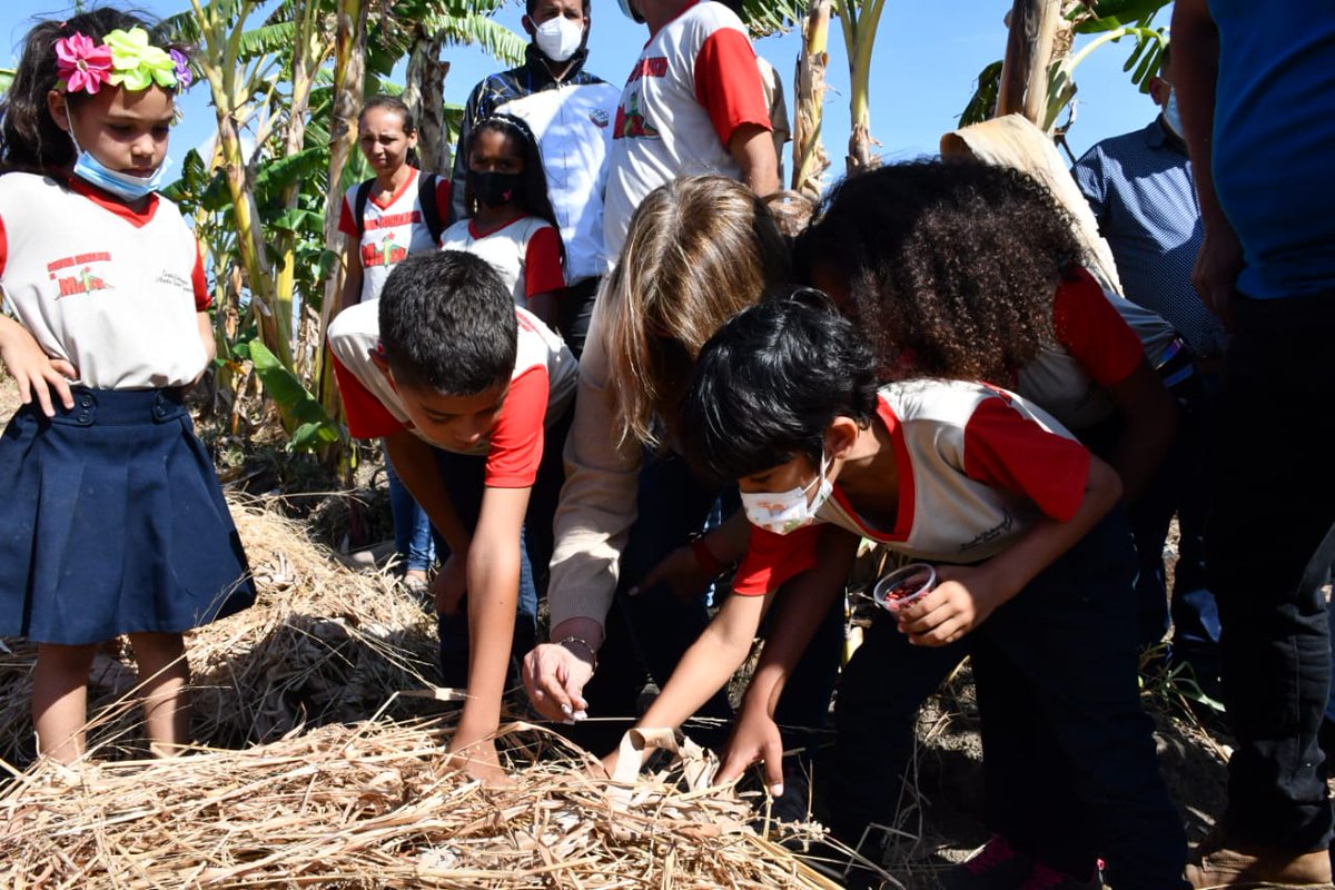 mineducacion_ve's tweet photo. La Min. @_LaAvanzadora junto al Alc. @AngelPradoSP sembraron árboles frutales en la EB Maestra Isabel González del Mcipio. Simón Planas del Edo. Lara. @NicolasMaduro https://t.co/58J79WCfk9