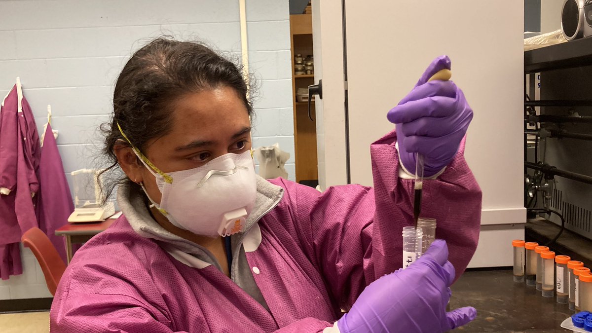 PalyJen's tweet photo. Speaking of #awesome #ladiesinscience, @ingrid_pollen had been making my day, and my lab, run smoothly all year! Huge THANK YOU always and especially on the #INTERNATIONALDAYOFWOMENINSCIENCE https://t.co/RsbW5De3Ub