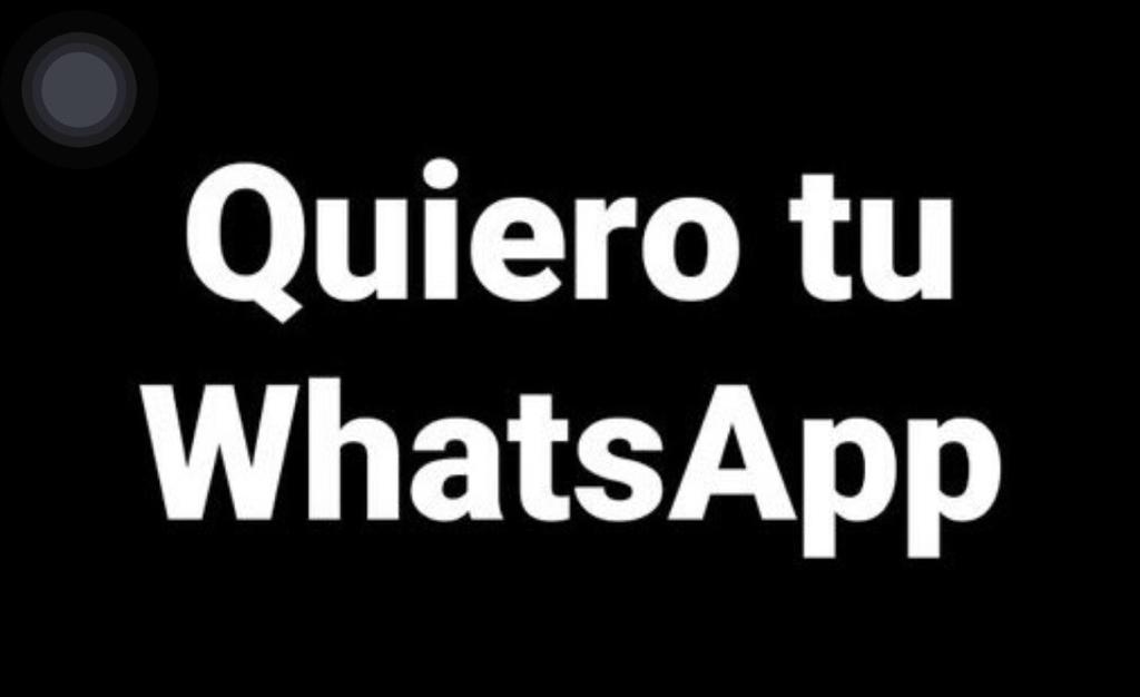 BeckhamJr_'s tweet photo. @marian_rizos https://t.co/8r5s9yrRZT