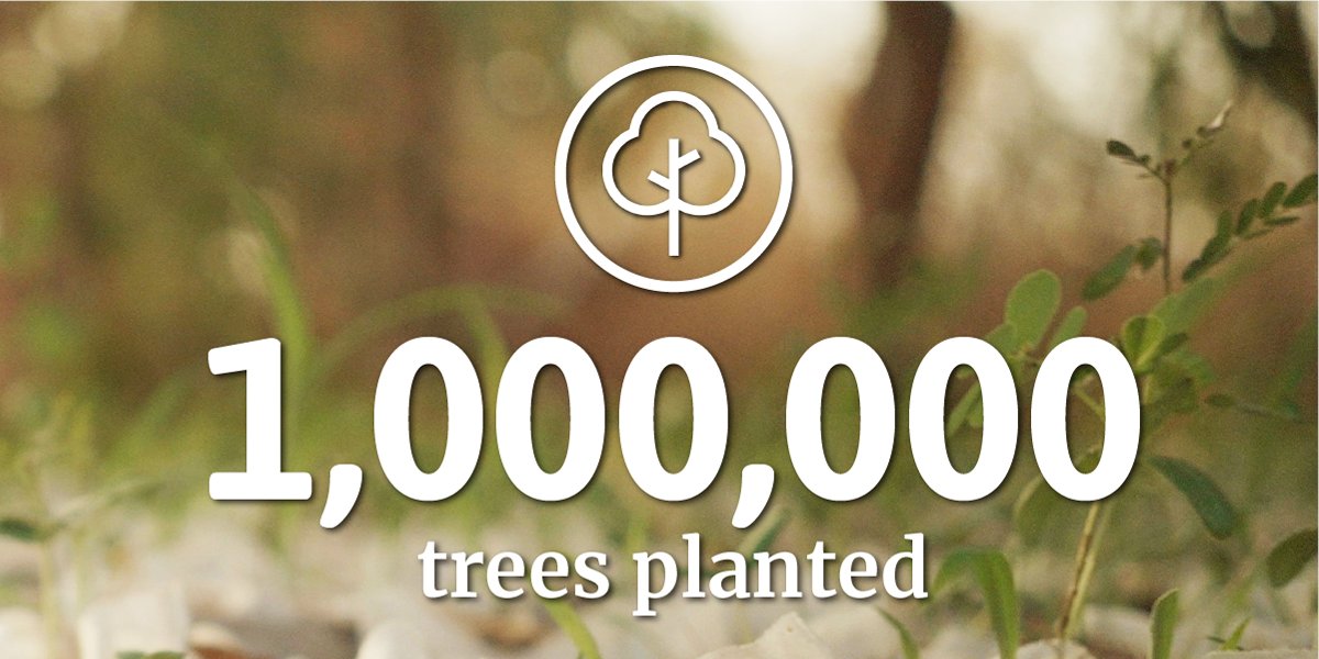 WoodiesOfficial's tweet photo. To say that we're proud of achieving our goal of planting ONE million trees w/@Treesftf is an understatement!🎉

We also couldn't do it without the incredible support of our community, thank you so much 🤝

And this is just the beginning...
🌳🌳🌳 https://t.co/SEUh6WfhkL