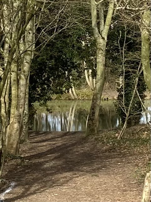 Wendy kathryn Owen Author tweet media