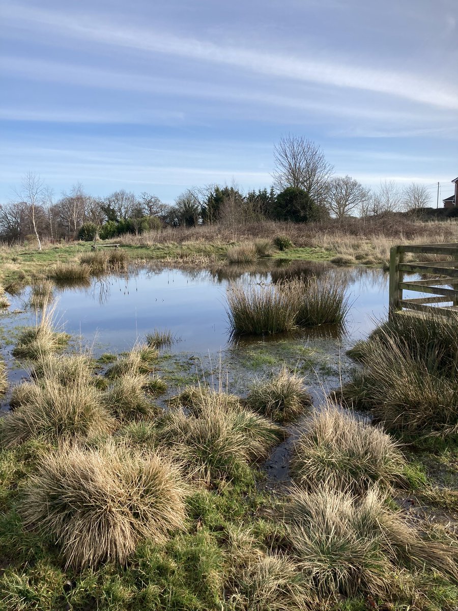 Wendy kathryn Owen Author tweet media