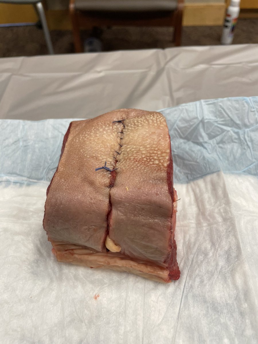 This beef tongue model is SO good for #obstetric laceration simulation #urogyn @MageeUroGyn @mageeobgynresi1 @MGuirguisMD