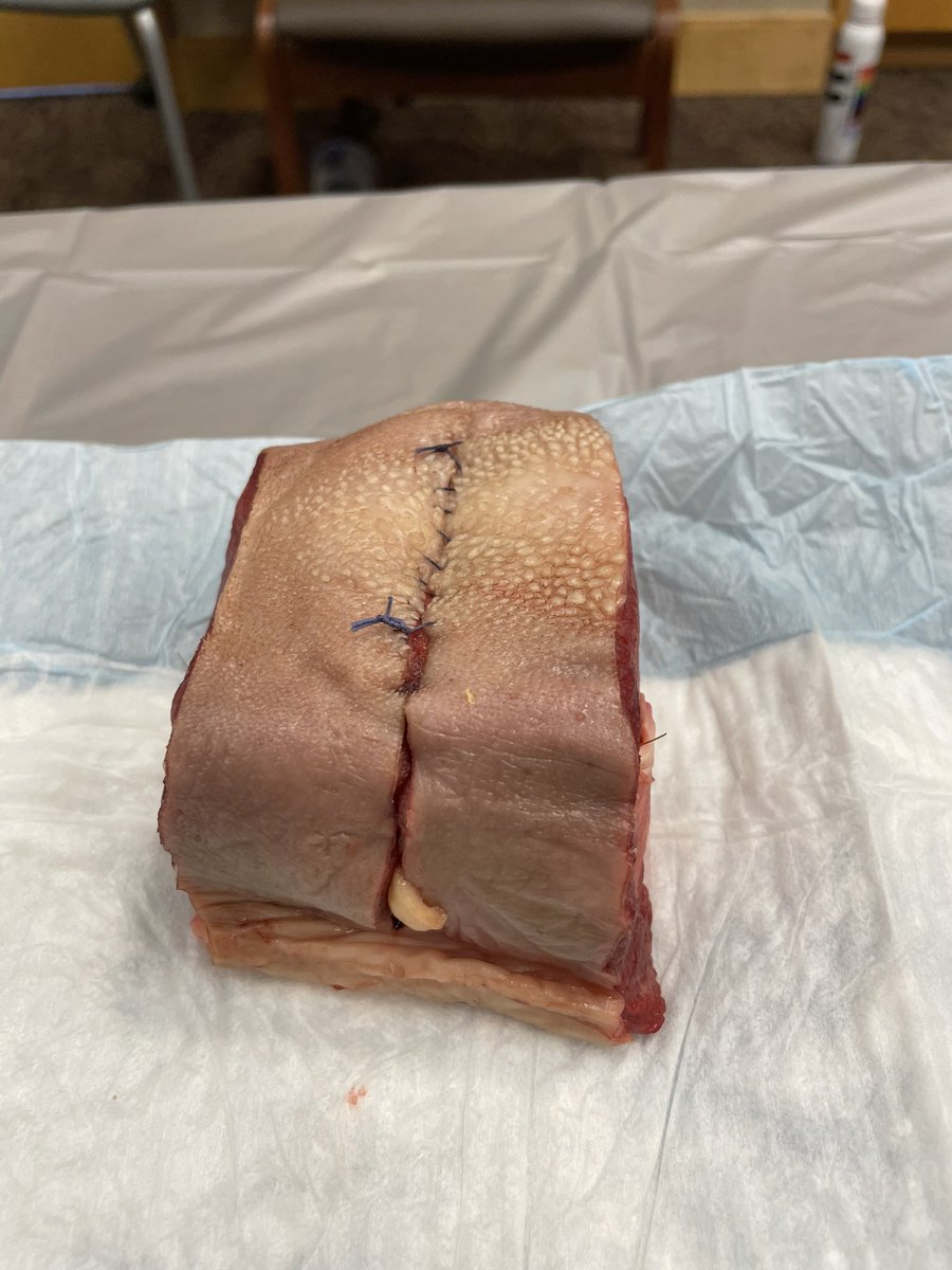 Lauren Giugale, MD (@drlaureng) on Twitter photo This beef tongue model is SO good for #obstetric laceration simulation #urogyn <a href="/MageeUroGyn/">UPMC Magee UroGynecology</a> @mageeobgynresi1 <a href="/MGuirguisMD/">Marina Guirguis Hanna MD</a> This beef tongue model is SO good for #obstetric laceration simulation #urogyn <a href="/MageeUroGyn/">UPMC Magee UroGynecology</a> @mageeobgynresi1 <a href="/MGuirguisMD/">Marina Guirguis Hanna MD</a>