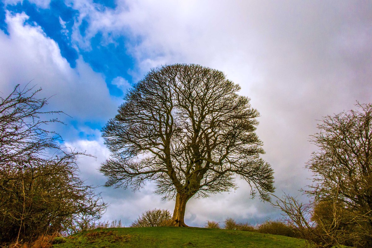 robertmorris114's tweet photo. Oaker Derbyshire Peak District @WalksBritain @derbypromo @madederbyshire @WoodlandTrust #oaker #Derbyshire #peakdistrict #landscapephotography https://t.co/zu5J4abHmw