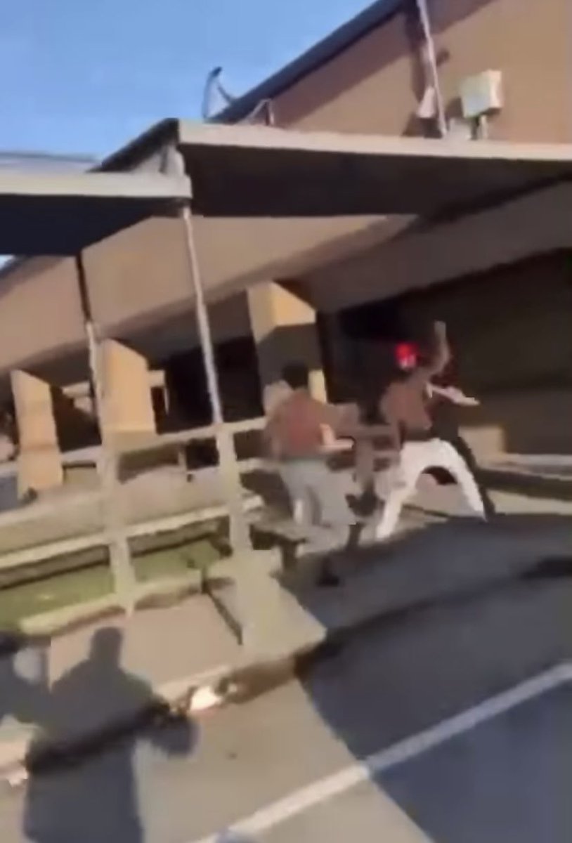 Matthew Seedorff tweet media