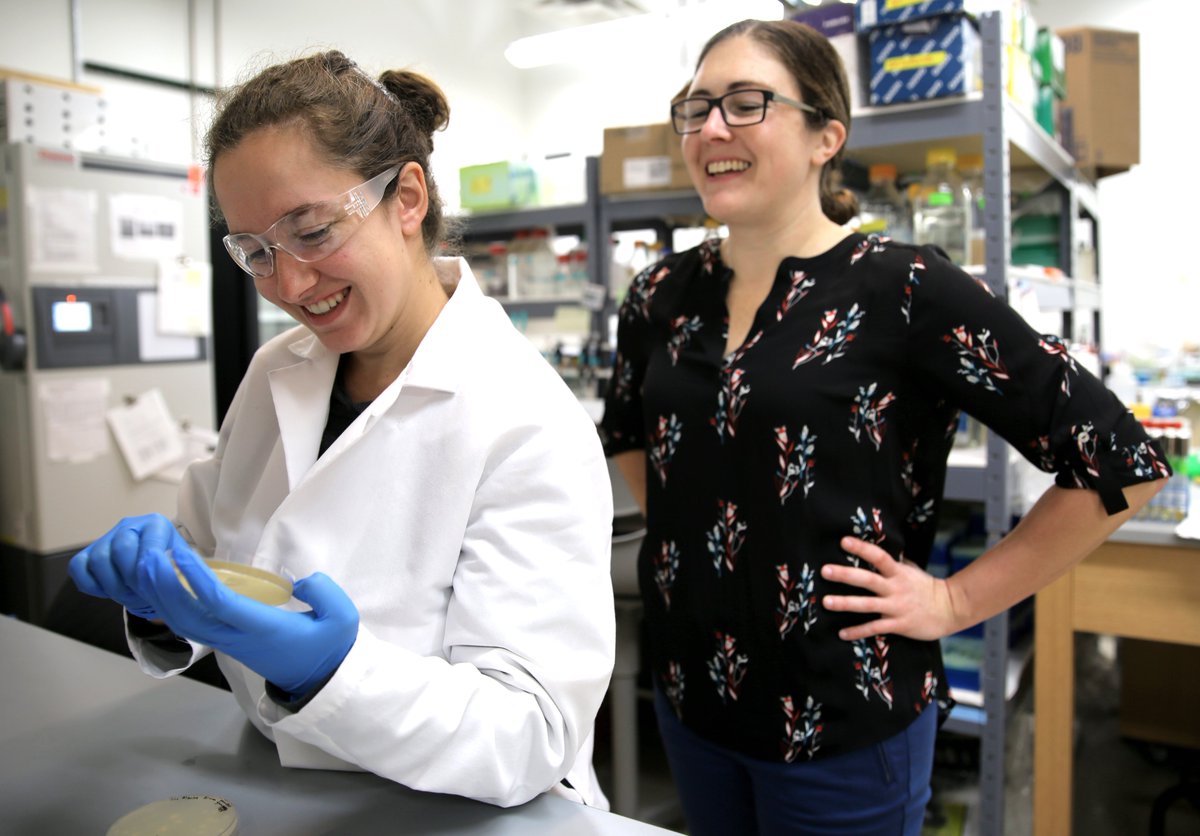 McCleanLab's tweet image. It's #INTERNATIONALDAYOFWOMENINSCIENCE! Happy to have fantastic female colleagues @UWMadison_BME @UWMadEngr and everywhere else on the @UWMadison campus including but not limited to @PamKreeger @KristynMasters @melissa_skala @filizy @CVBiomech_Witz @melissa_kinney. Who'd I miss?