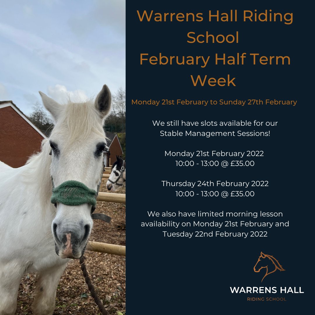 whridingschool's tweet photo. We still have limited availability for our Half Term Week activities! 

Call the Riding School Landline to book 01384 455 473 🐴 https://t.co/II6lV2JwKY
