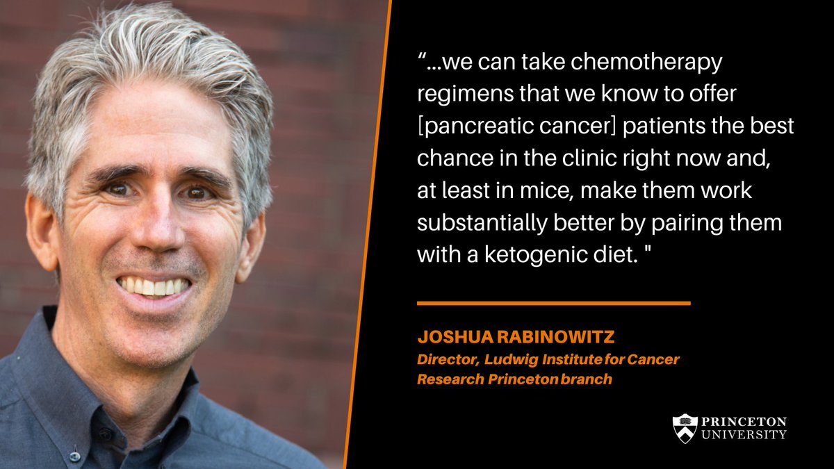 Princeton Chemistry (@PrincetonChem) | Twitter