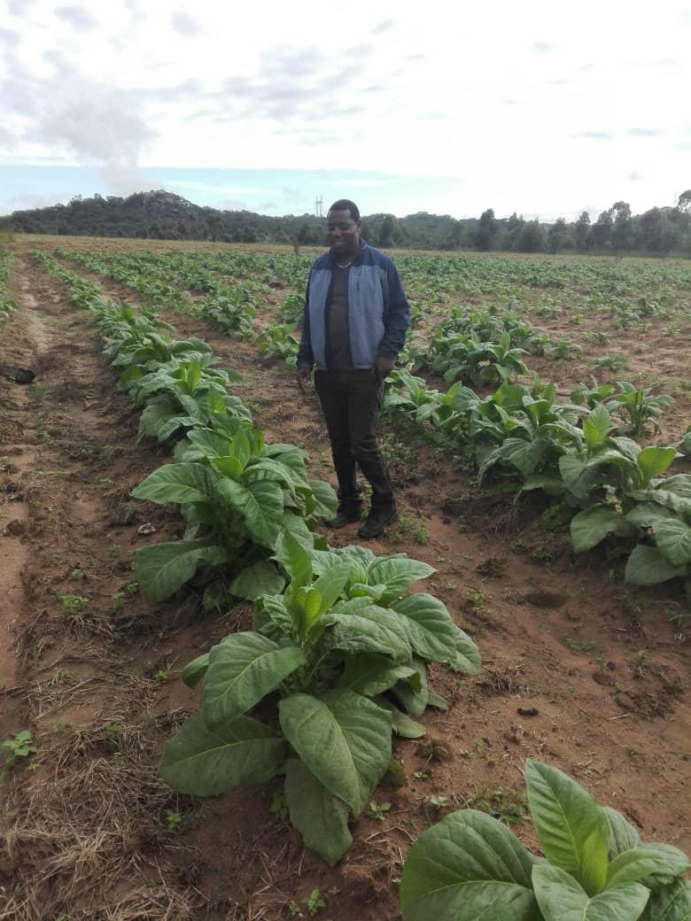 Artwell the Farmer tweet media