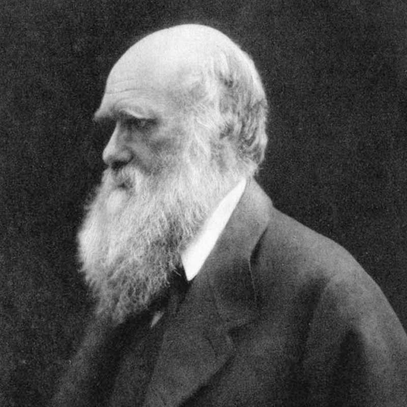 Cambridge_Uni's tweet photo. Charles Darwin was born #OnThisDay in 1809.

Throughout his life, Darwin was an avid letter writer and thanks to the #DarwinCorrespondenceProject, many of his letters can now be read online!

Discover more at https://t.co/18T2H7uTCC

@MyDearDarwin @theUL @christs_college