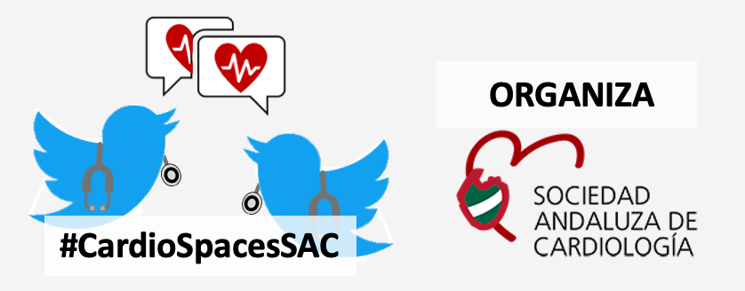 SACardiologia's tweet photo. 🚨 Desde la @SACardiologia lanzamos el proyecto #CardioSpacesSAC 

A través de #TwitterSpaces comentaremos las novedades más interesantes en enfermedad cardiovascular, con expertos de ámbito nacional e internacional 🔝

Atent@s a nuestra cuenta‼️ https://t.co/oXil6n1JW1