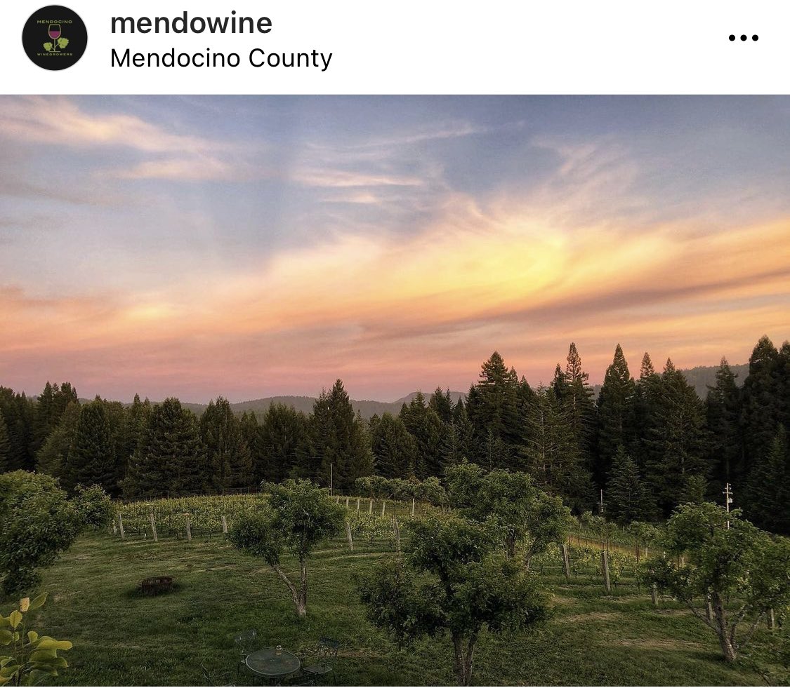 “Drew sits on the Mendocino Coast within the Mendocino Ridge AVA. Their focus is cool climate wines from the Mendocino Ridge and the Anderson Valley AVAs.”

Follow us through #mendowine