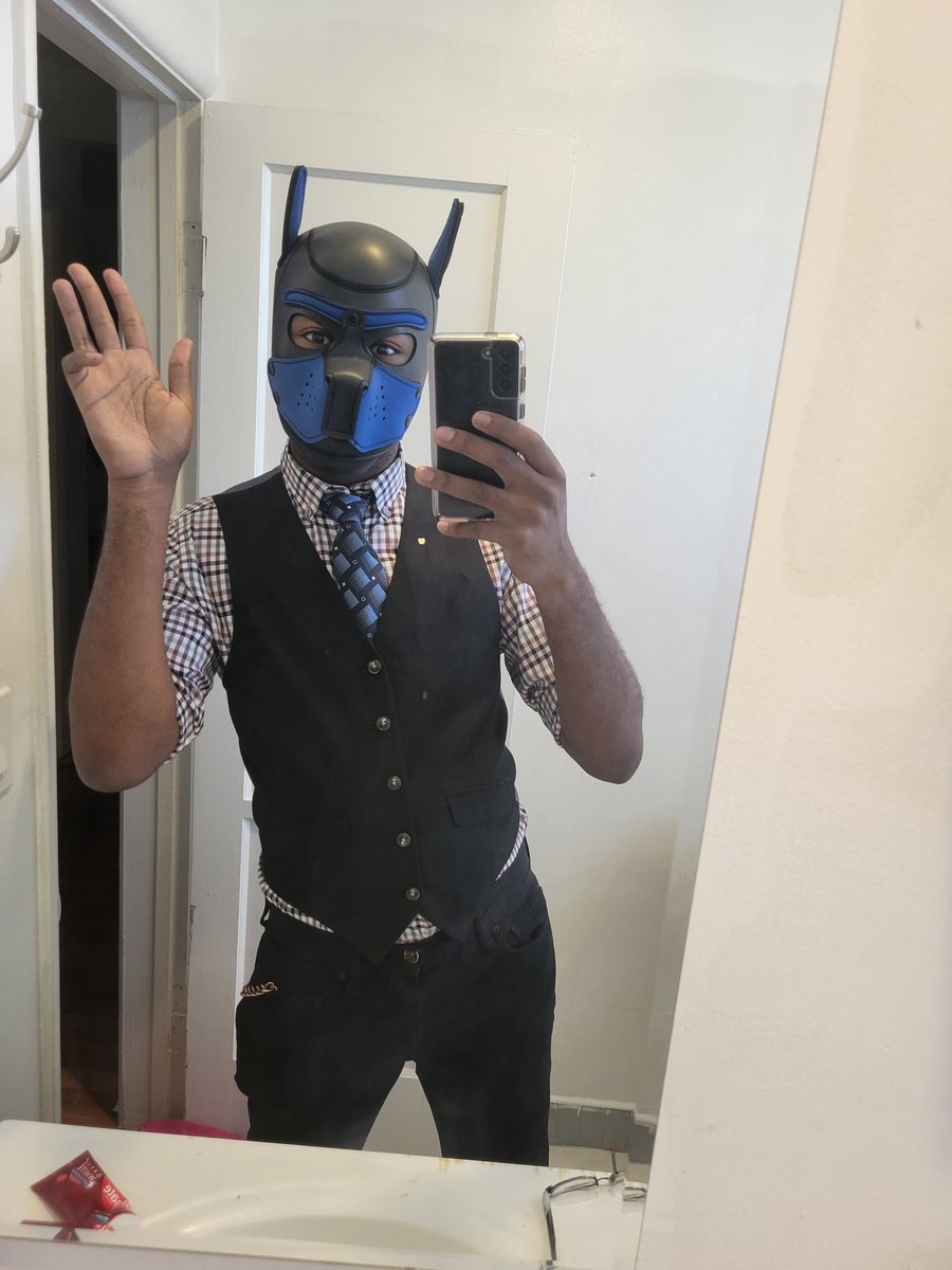 Roy Snowpaw tweet media