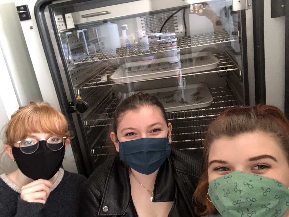 Happy International Day of Women and Girls in Science! Here’s a few photos of my time so far in the world of science. And my science besties <a href="/h_millardwilson/">Heather MillardWilson</a> and <a href="/marthaejones2/">Martha Jones</a>. I wouldn’t have been able to do it all without them ❤️ #INTERNATIONALDAYOFWOMENINSCIENCE