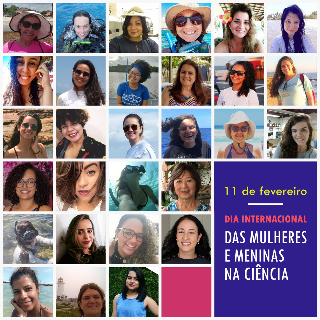 Peld Tams tweet media