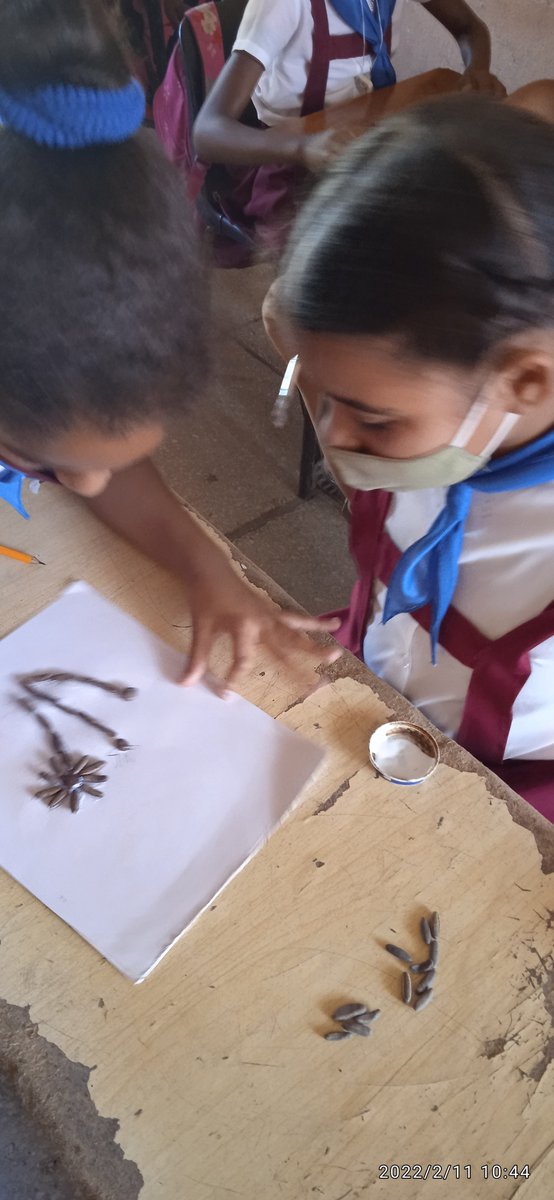 ZuliaMonier's tweet photo. " Educar es prepara al hombre para la vida " 
Los pioneros de la EP Antonio Boizan del  Poblado de Siboney demuestran las habilidades adquiridas en la asignatura de Educación Laboral 
@LobainaZulima 
#SomosCuba 
@elsa_ena 
@DiazCanelB https://t.co/N4OxuqcBW5