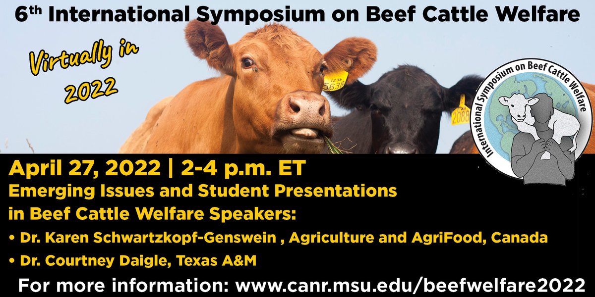 BeefWelfare's tweet photo. Two days until our next webinar! Join us on April 27th to learn about emerging issues in beef cattle welfare. You will hear from Dr. Karen Schwartzopf-Genswein and Dr. Courtney Daigle and student presenters. Register at https://t.co/HTjLYGE7Ng https://t.co/wzTEqK1Cfv