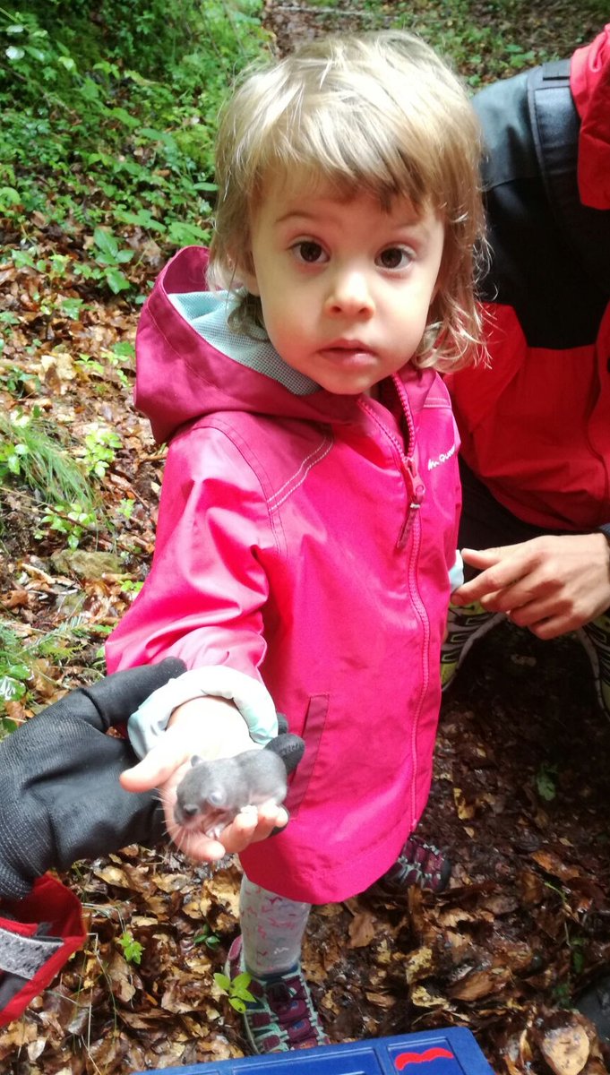 ProjecteLiro's tweet image. Feliç Dia Internacional de la Dona i la Nena en la Ciència! El #ProjecteLiro és un equip on predominen les dones i que treballa per fer arribar la ciència i el coneixement de la natura a les més petites🐭😍

#11F2022 #WomenInScience #DiaDonaNenaCiència #Dormouse #Science