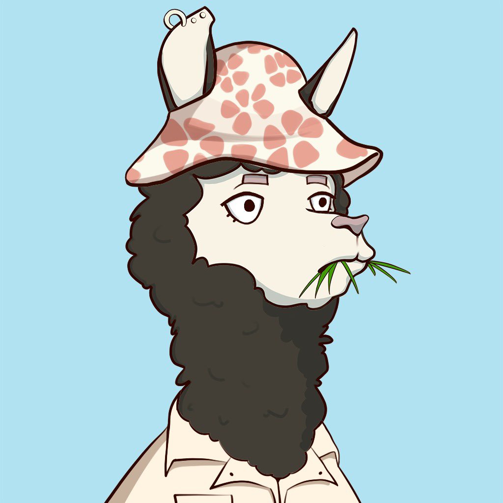 cutealpacaclub tweet picture
