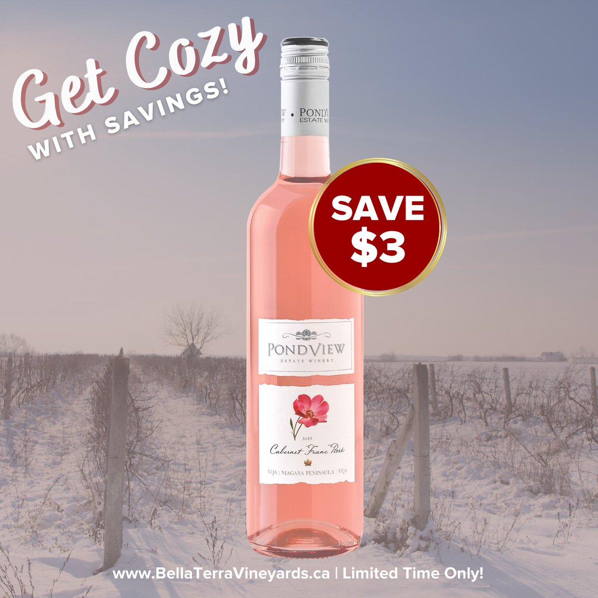 Get cozy with our winter #sales! ❄️Check out our current deals and stock up for the upcoming Family Day #longweekend!🥂
Click the link to shop these great deals: pondviewwinery.com/collections/all
#wine #icewine #niagarawine