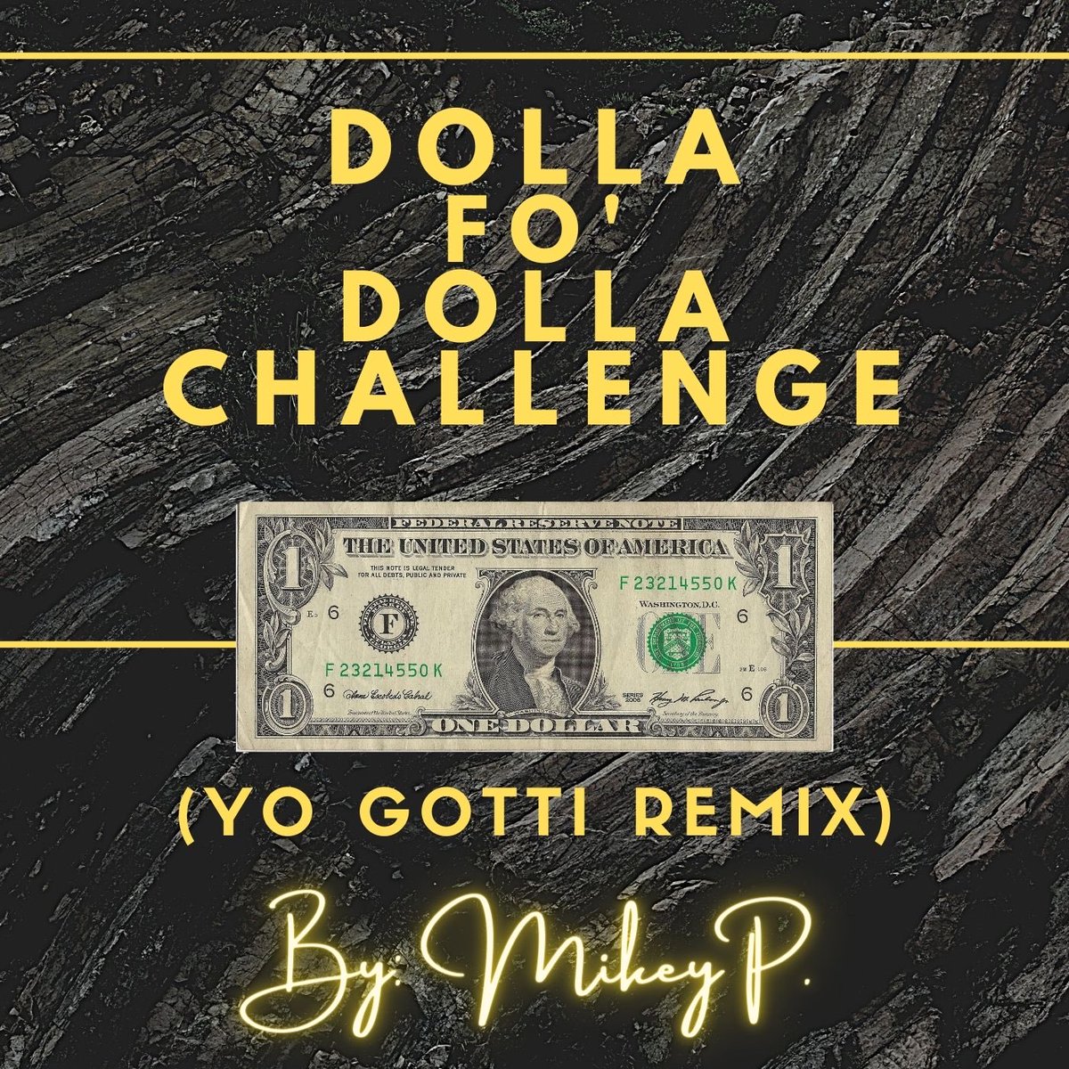 mikedothemost's tweet image. FEB. 18 

#YoGotti #MikeyP #DollaFoDollaChallenge 
#SwampedOut