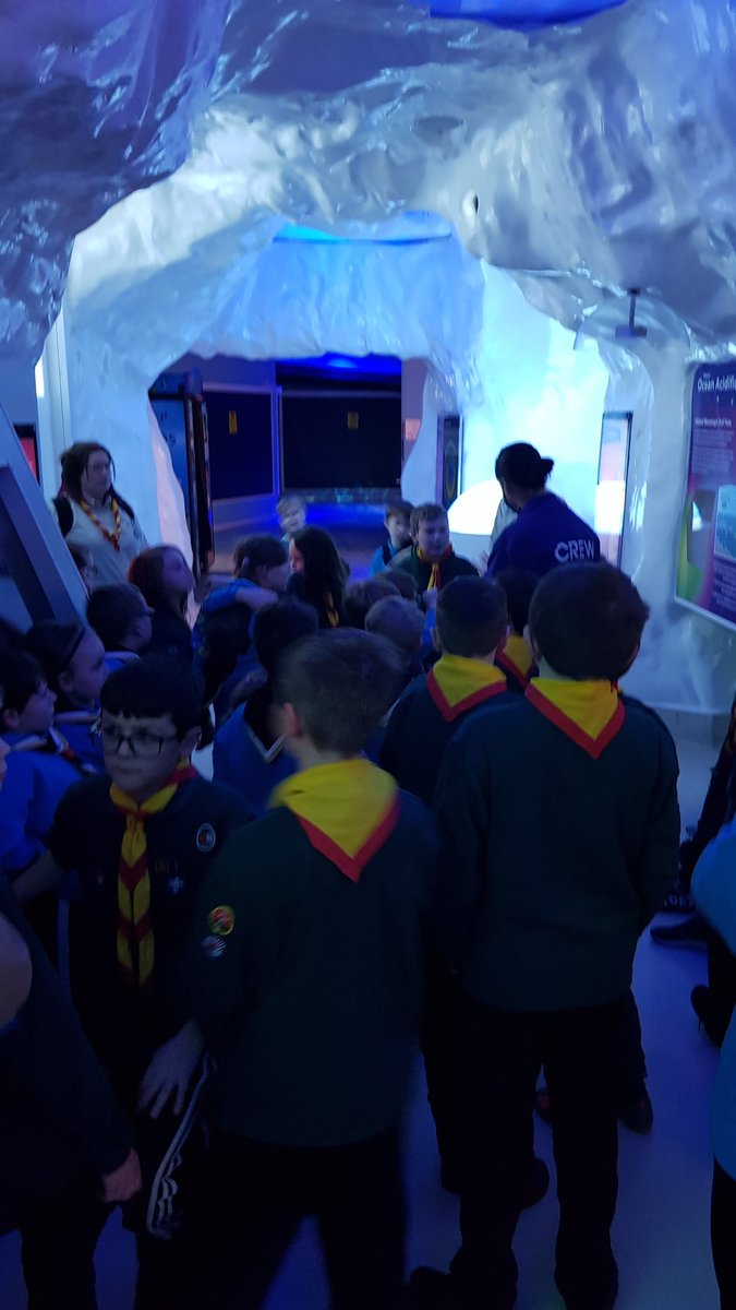 Goole Scouts tweet media