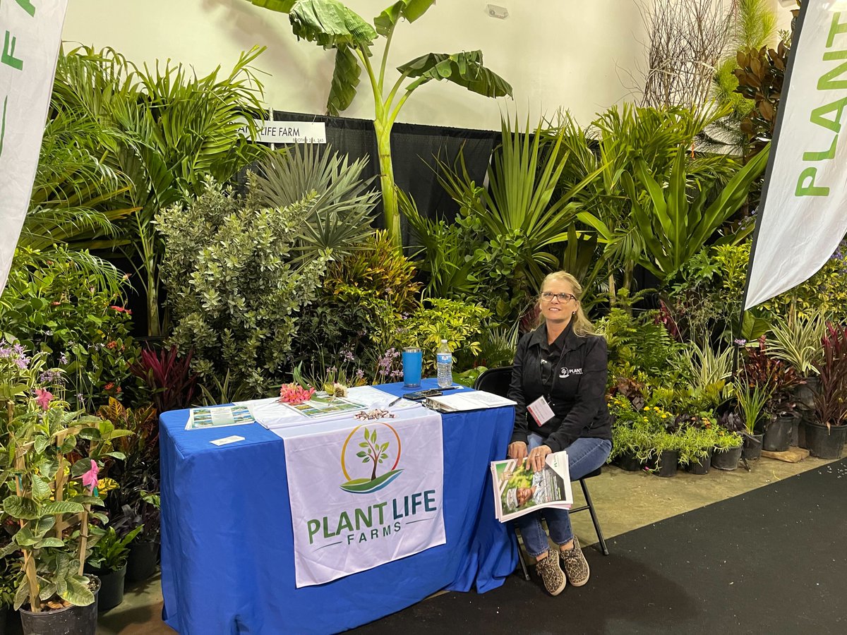 gomaterials tweet media