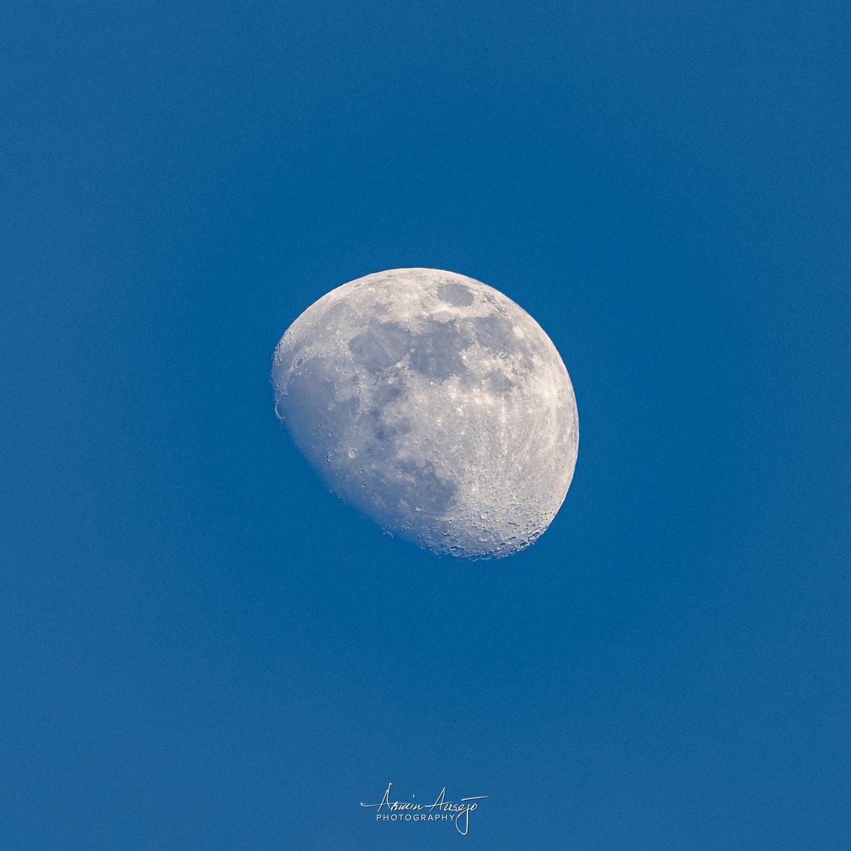 🎵 When the moon hits your eye like a big pizza pie... 🎶

Nikon Z7, Nikkor 100-400mm f/4.5-5.6S, handheld at 1/125 sec f/8 ISO 100

#moon #gibbousmoon #waxinggibbous #waxinggibbousmoon #handheld #handheldphotography #lunarphotography #lunarphases #Nikon #Z7 #ArminPhoto