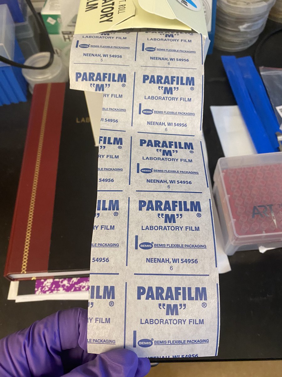 Apparently my lab mate woke up today and chose violence ✂️🔪#parafilm #science #microbiology