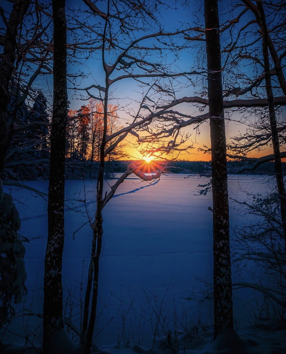 alexxf3's tweet image. 