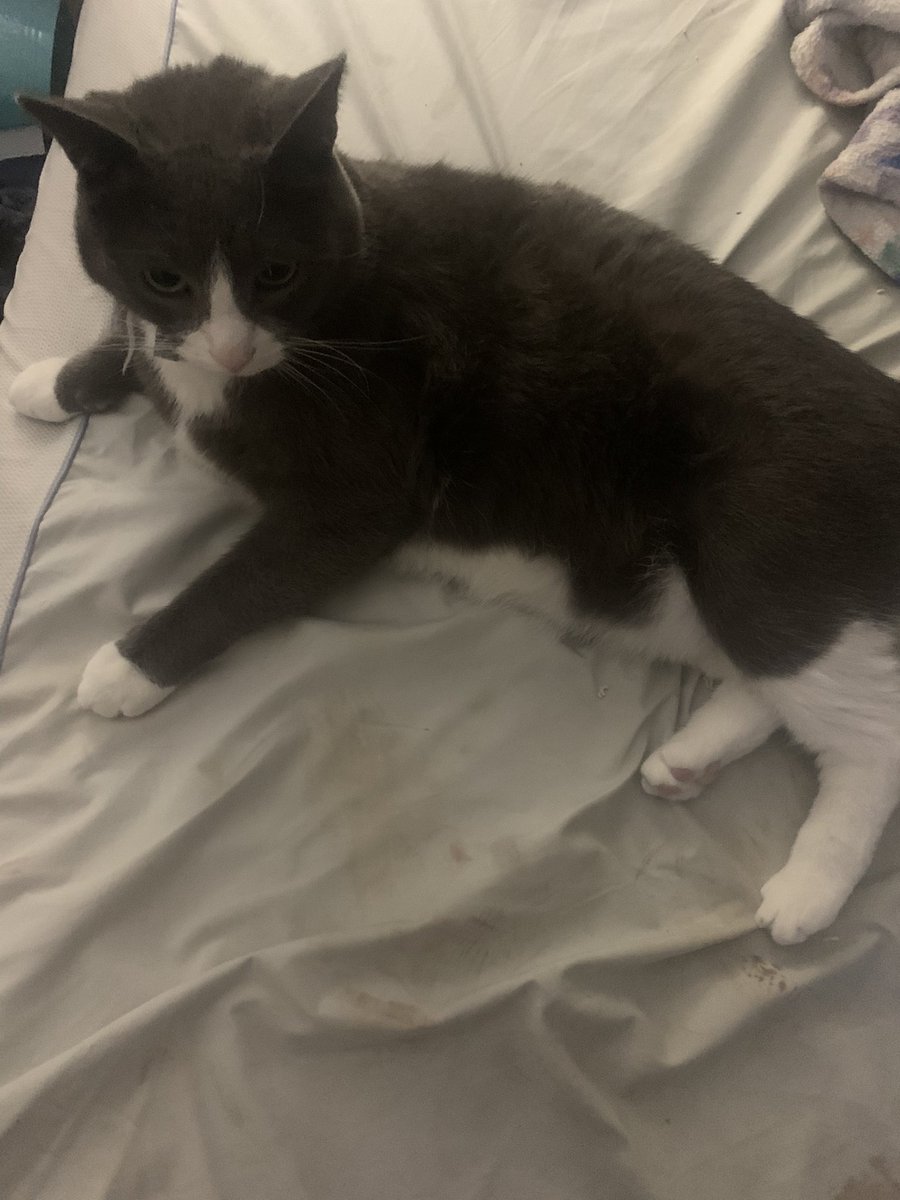 BashyB00's tweet image. // PLEASE READ THE ENTIRE THREAD AND RT. THIS IS TIME SENSITIVE. // 
I just received the news that me and my family are being evicted from our apartment this weekend. We have 2 days to pack up our stuff and we have nowhere as of now to go. 
(continued in thread)