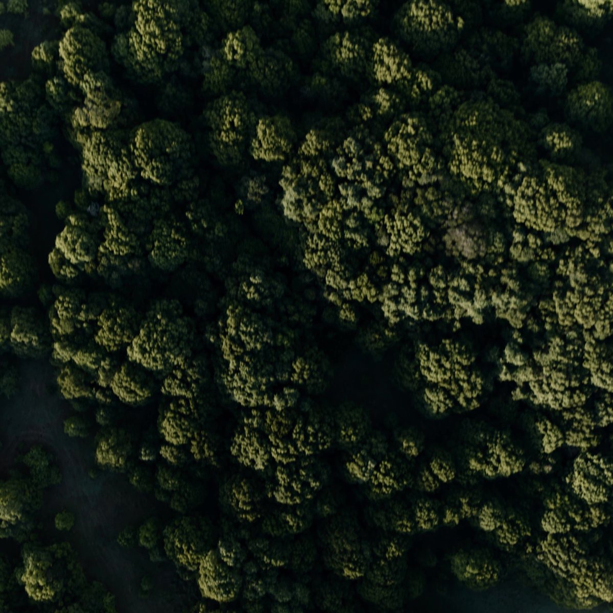 RobMillsRMA's tweet photo. Rob Mills: 
 
“Our world has changed. 

That which once we took for granted, today we covet.  
 
Not the extraneous, but the fundamentals of life.  
 
Health. Connection. Freedom.” 

#LiveWell #SummerbyRMA #RMA #RobMills #RobMillsArchitects https://t.co/nqnK8jOchO