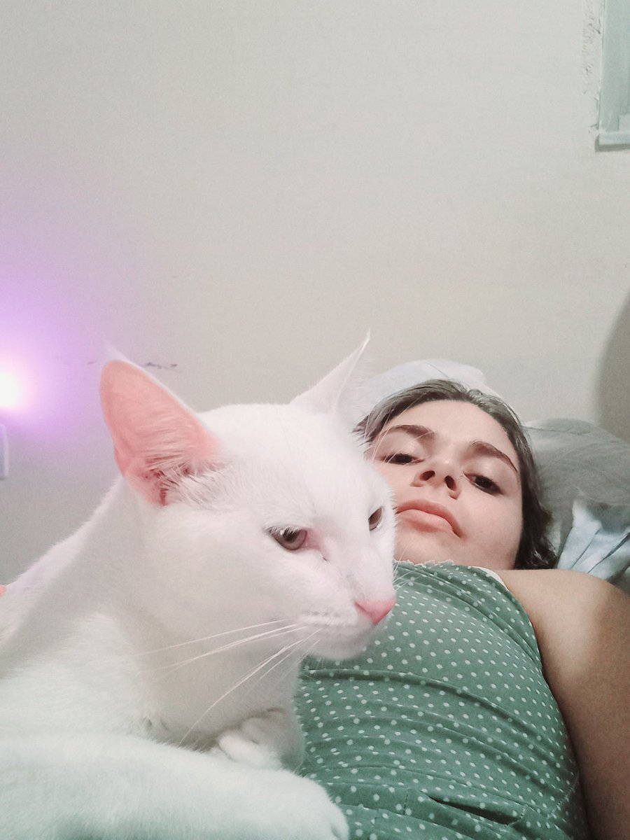 thaisoutor's tweet photo. 🐱🐈🤪
#shaolee #mycat #caradebunda https://t.co/OpgMNsFu8f