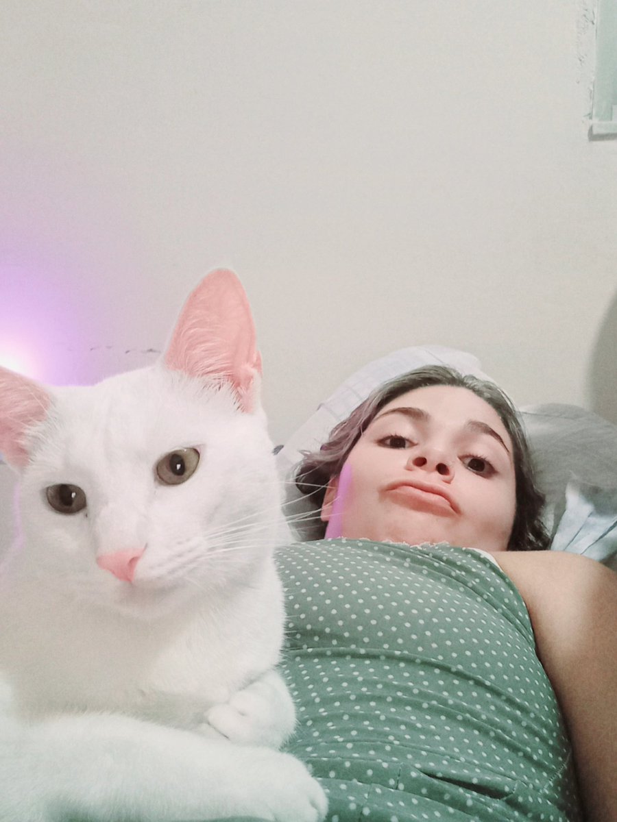 thaisoutor's tweet photo. 🐱🐈🤪
#shaolee #mycat #caradebunda https://t.co/OpgMNsFu8f