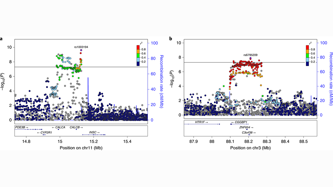 NaturePortfolio's tweet photo. A study in @NatureGenet identifies more than 120 regions of the genome that are connected to the risk of migraine. https://t.co/srLA5f3aWI https://t.co/oMFvj4Eykm