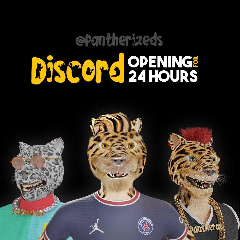 pantherizeds's tweet photo. #collectors Time is now!  🔓We opened #Discord Server⏳ just for 24 Hours.

🎯Enter: https://t.co/zyvAxC0spL

Get #whitelistspot  and be an early minter on this Jungle🌴

Why this NFT Project will 🚀 fly to the moon?

✅We are 📽️ filming a movie. Yes! NFT´s will be actors https://t.co/HZuUyWnhzI