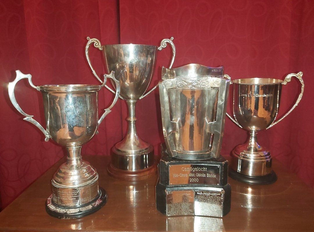 3rdLevelCamogie's tweet photo. @3rdLevelCamogie Trophies

This year's trophies are all cleaned up and ready to go for tomorrow morning.

Our trophy and medal partners are Sheridans Trophies in Waterford, who have sponsored the player of the Match trophies for each of tomorrow's finals.

@OfficialCamogie https://t.co/AGorD56CPq