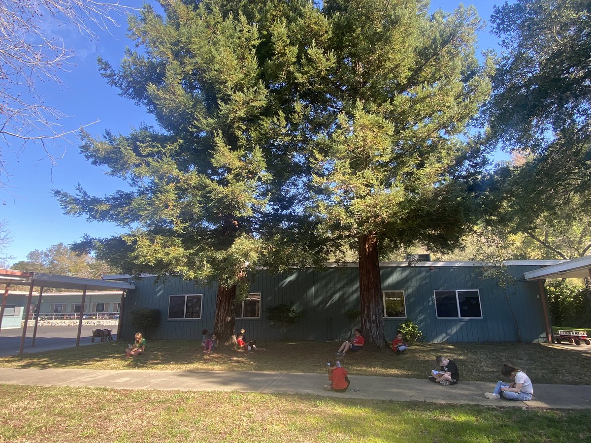 Reading outside today ❤️📕<a href="/jseroadrunners/">John Swett Elementary</a>